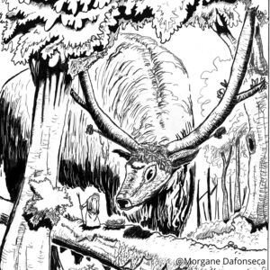 Edition Illustration
