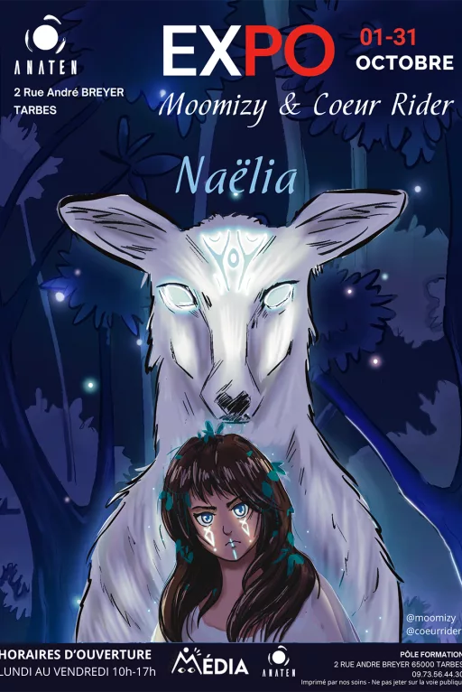 La BD au féminin : Naëlia
Mercredi 15 Octobre de 17h à 19h
Présentation des étapes de production d'une BD et dessin en live